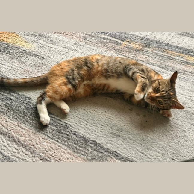 Photo of Nixie