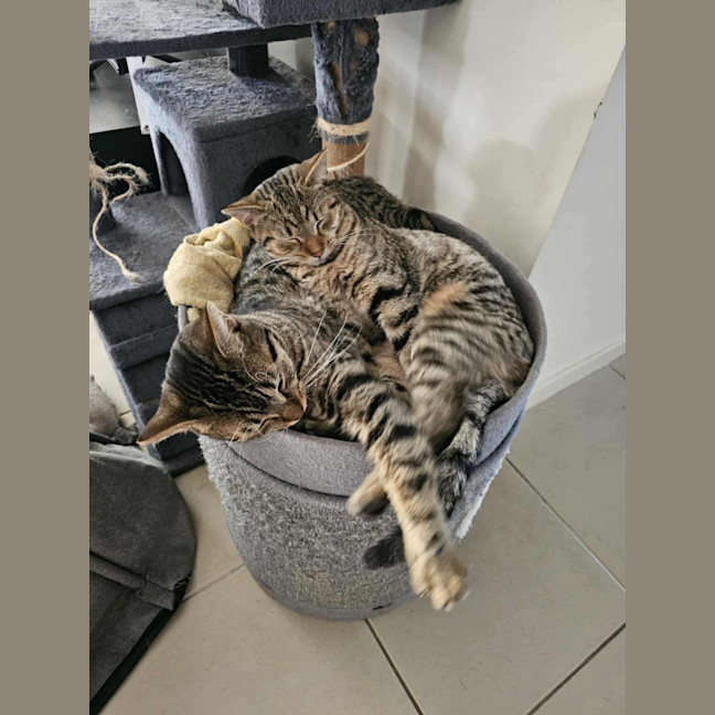 Photo of Mia And Frankie 