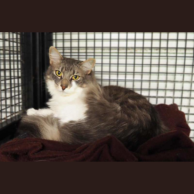 Photo of Gandalf