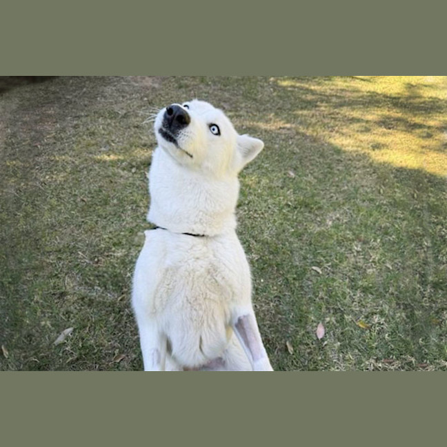 Photo of Heidi