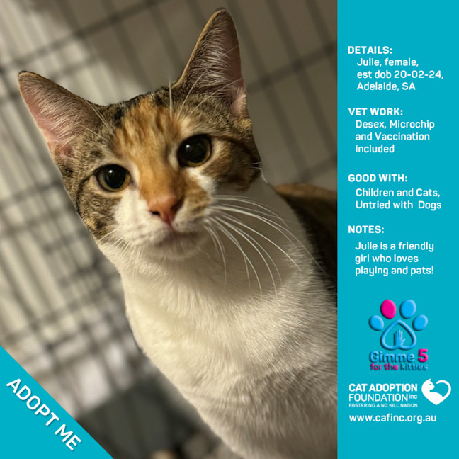 Photo of Julie Just $50 Limited Time!