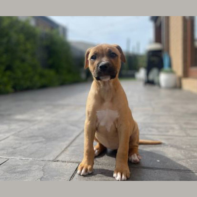 Photo of Molly 