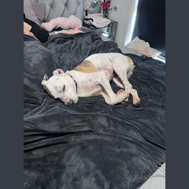 Photo of Penny