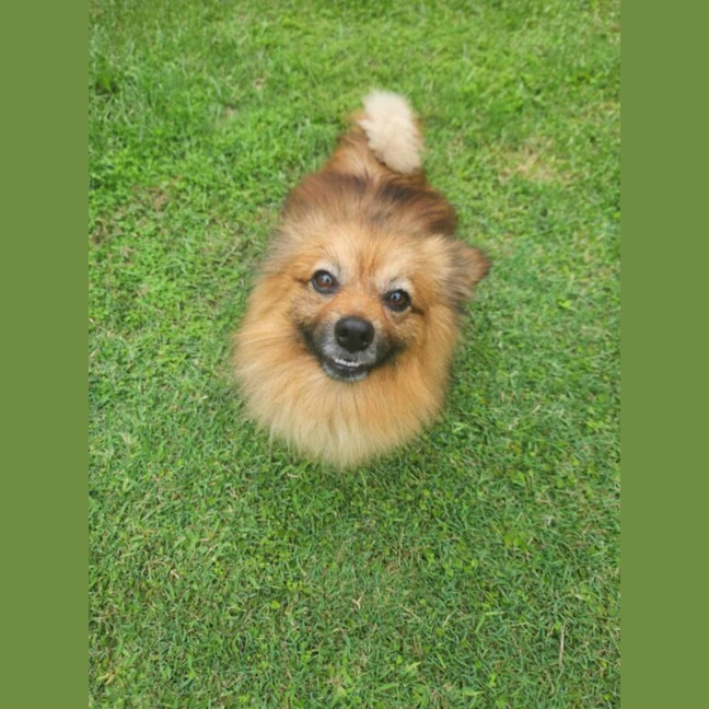Photo of Freddy