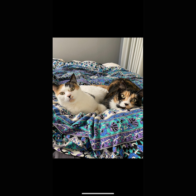 Photo of Chanel And Dolce