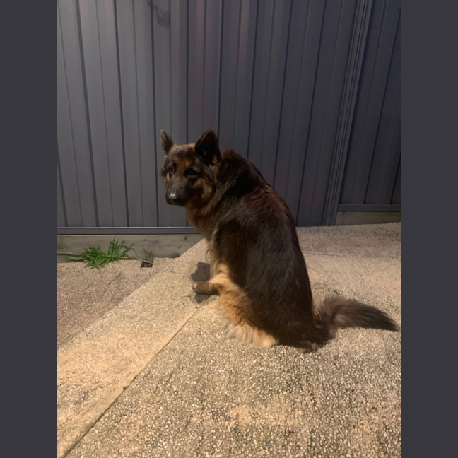 Photo of Bonnie