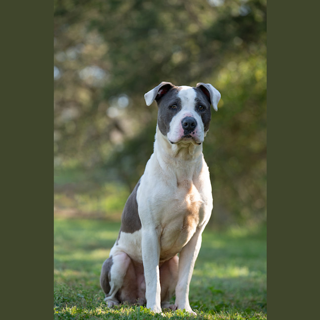 Photo of Zeus