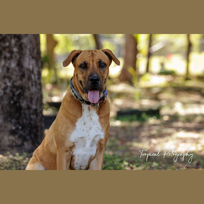 Photo of Ruby