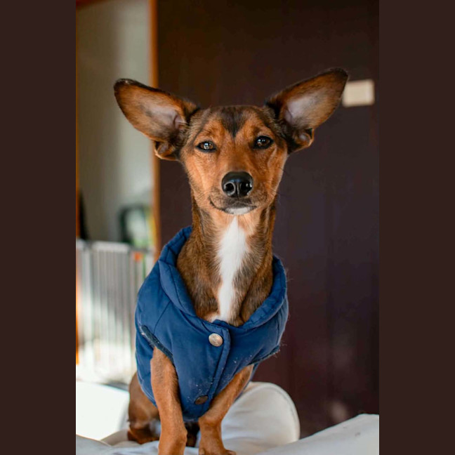 Photo of Sprout