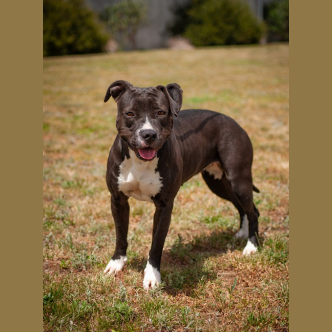 Photo of Penelope
