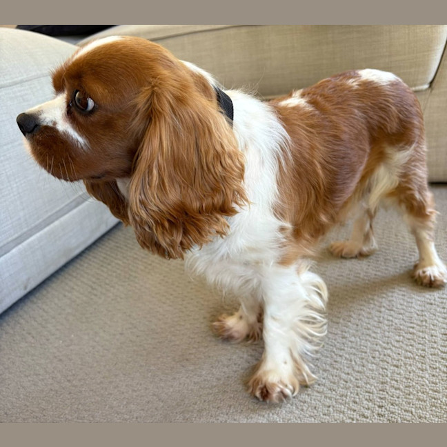 Photo of Mia
