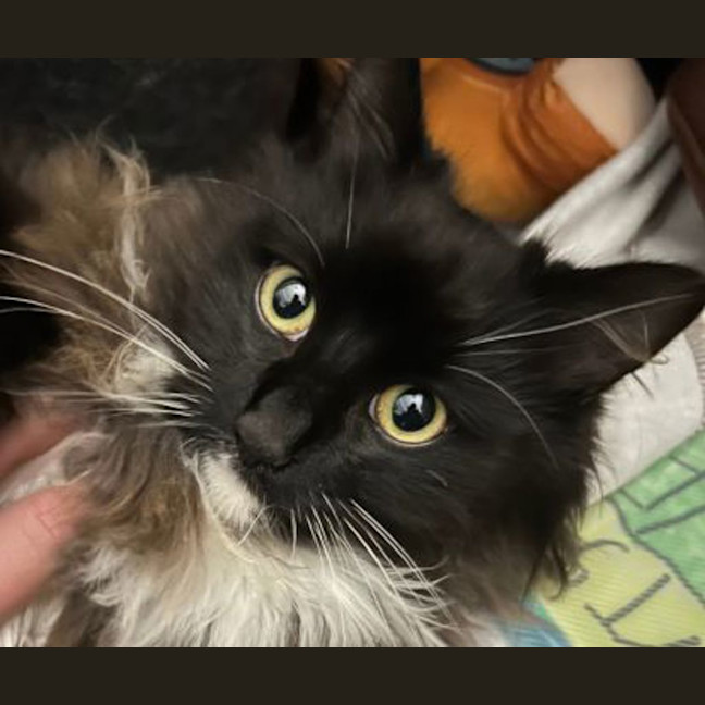 Photo of Bootsie