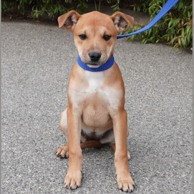 Photo of Ginger And Rodger