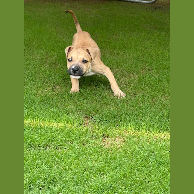 Photo of Tiny