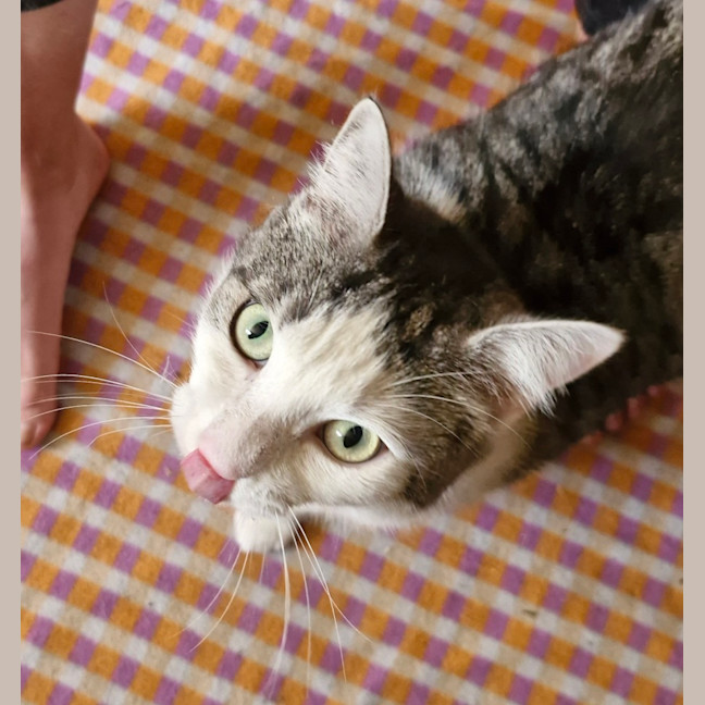 Photo of Tabitha