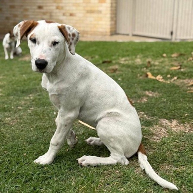 Photo of Daenerys
