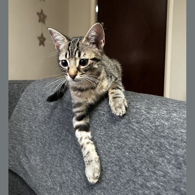 Photo of Bon Bon