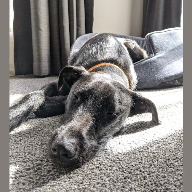 Photo of Betty