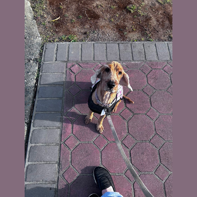 Photo of Maddie