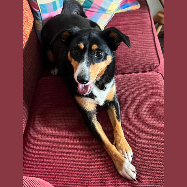 Photo of Molly