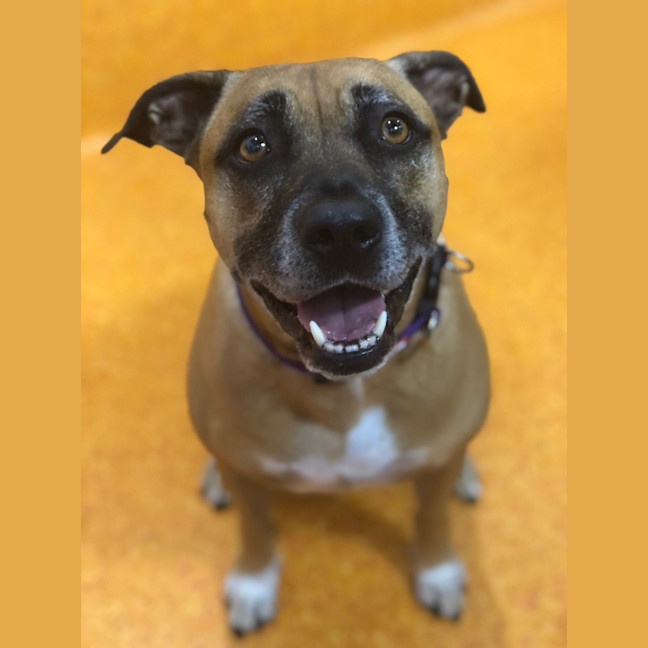 Photo of Luna