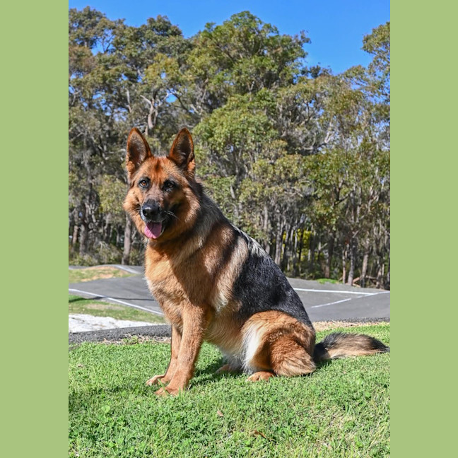 Photo of Ruby