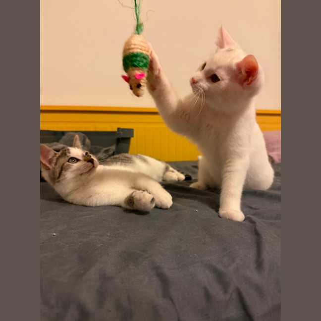 Photo of Evacuation Plan