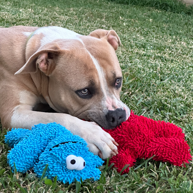 Photo of Zeus