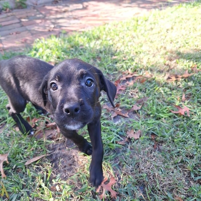 Photo of Betty