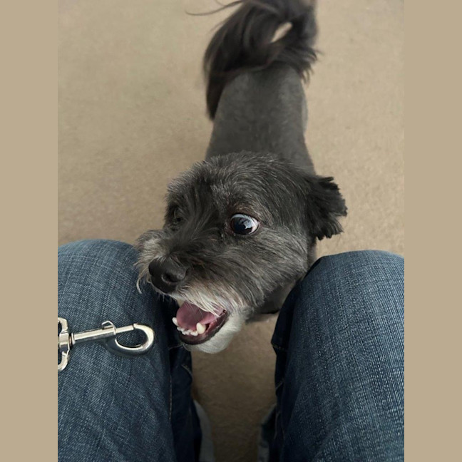 Photo of Cooper Xenos