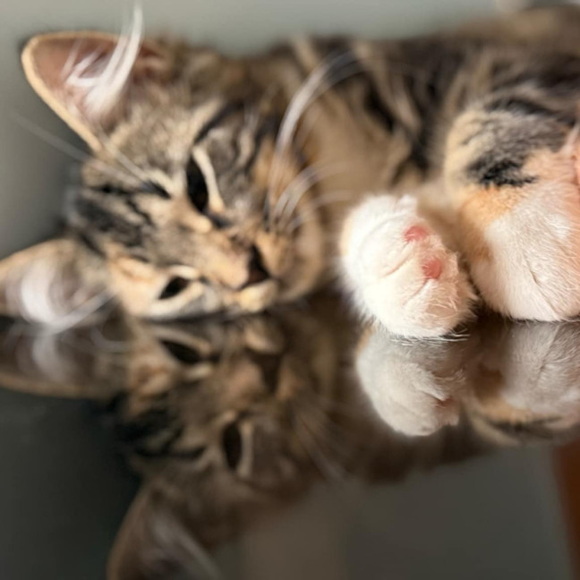 Photo of Buffy