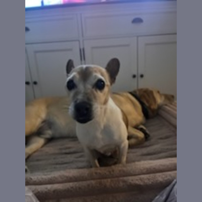 Photo of Jessie 