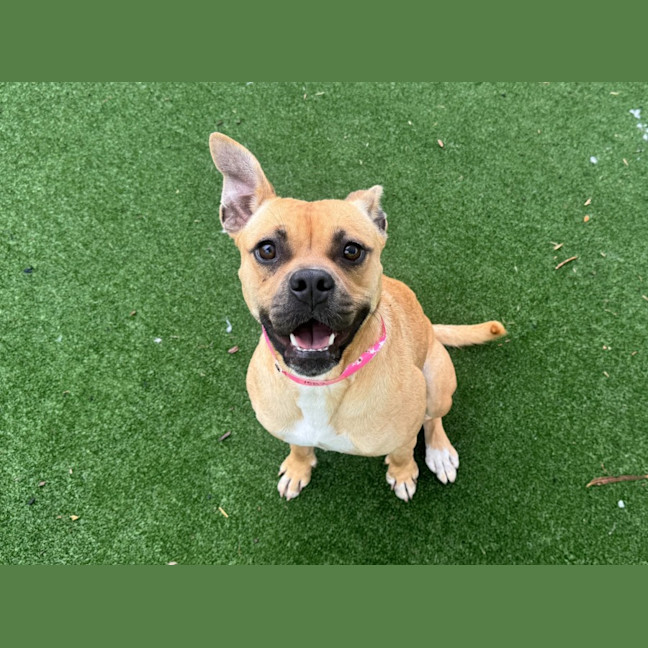 Photo of Lola Imp 1582