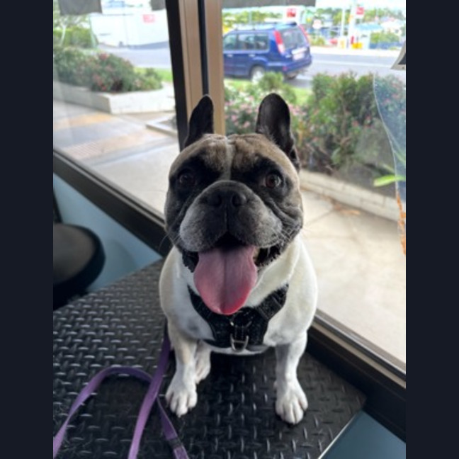 Photo of Lola