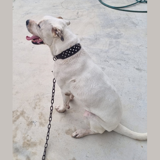 Photo of Zeus 