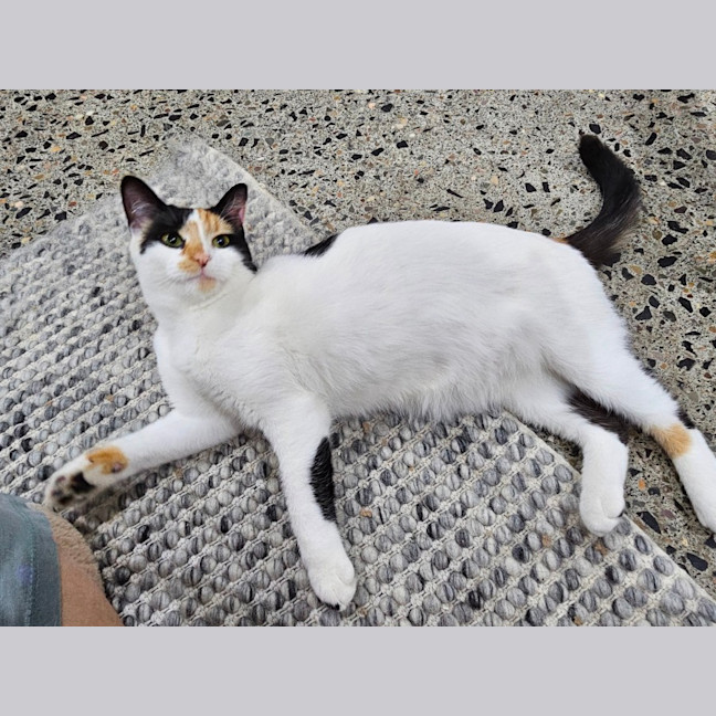 Photo of Mitzi