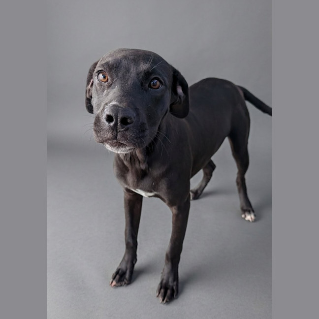 Photo of Thelma