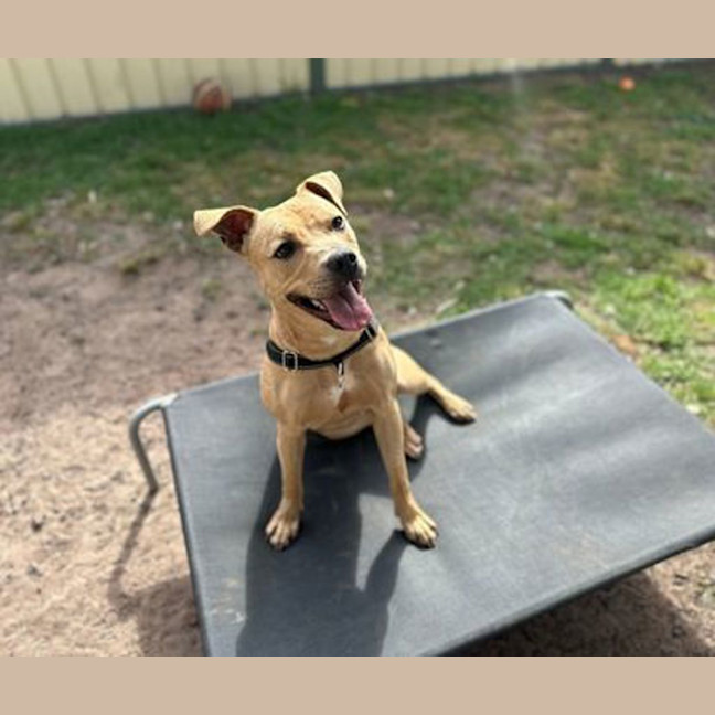 Photo of Calypso