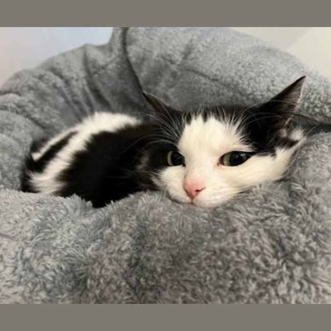 Photo of Wednesday