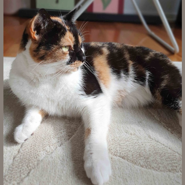 Photo of Queen Mimmi