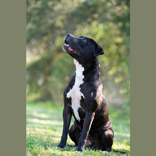 Photo of Roxy