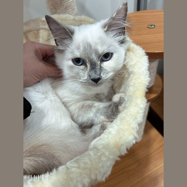 Photo of Elsa