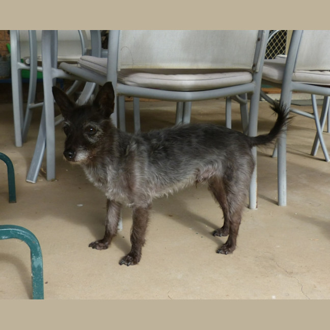 Photo of Jet
