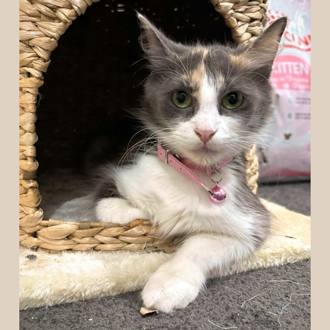 Photo of Stacey 🦄