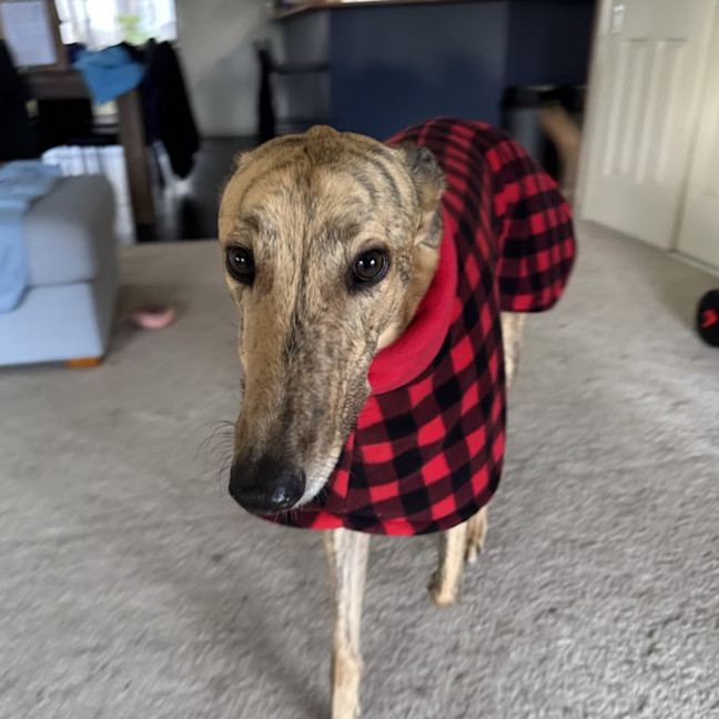 Photo of Ernie