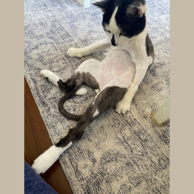 Photo of Mooey