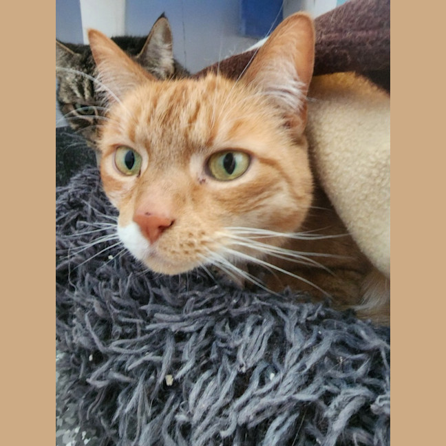 Photo of Princess And Skittles