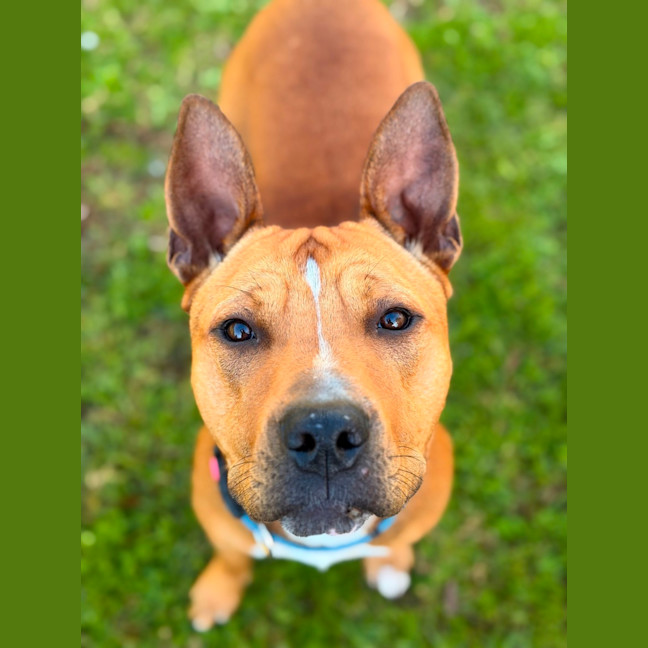 Photo of Reuben