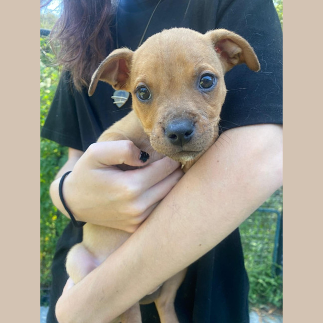 Photo of D1199 Winston