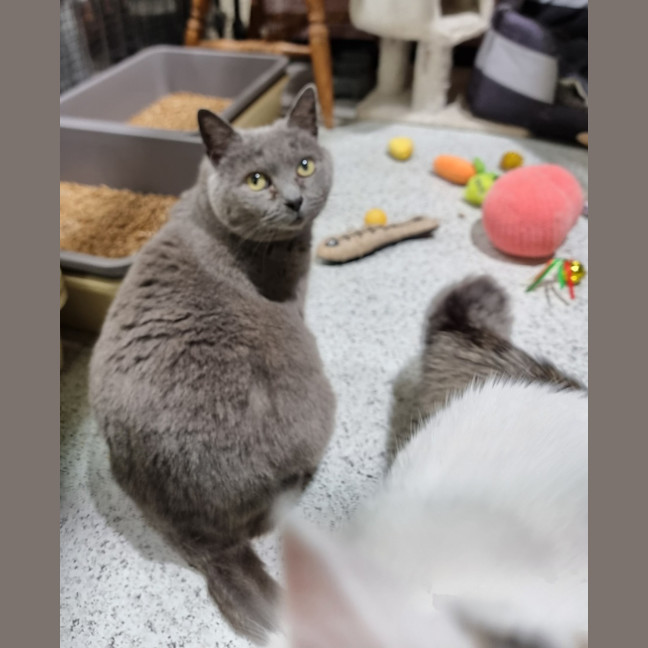 Photo of Rosie